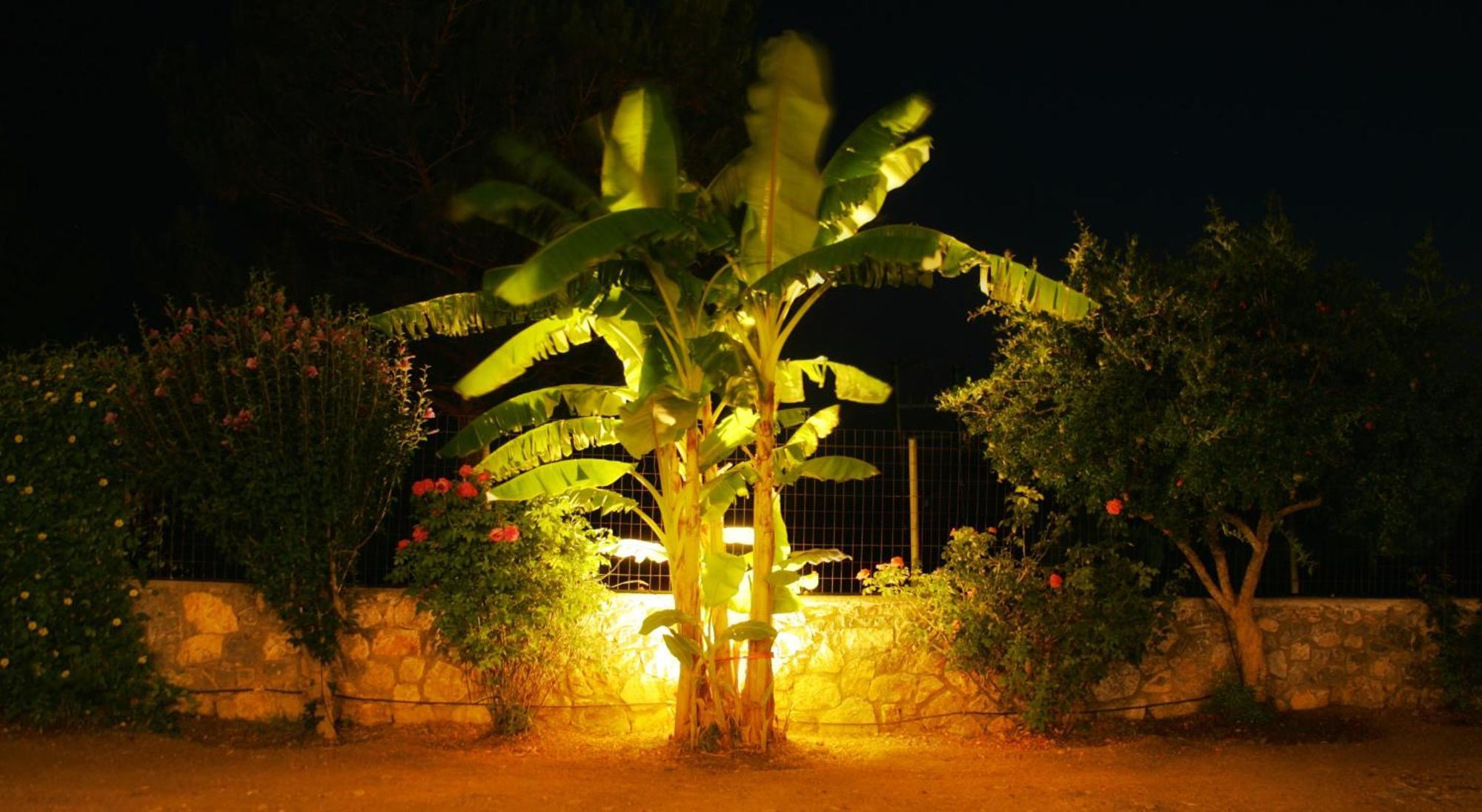 Dora'S House Villa Istrios Kültér fotó